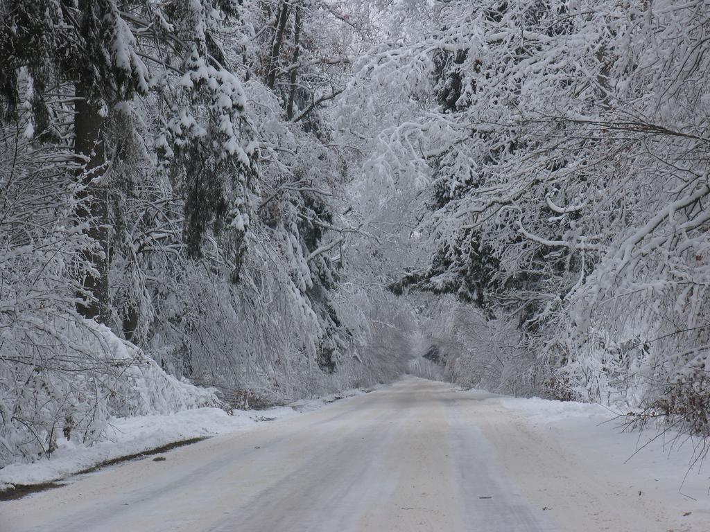 Apartamenty Carskie Białowieża Exteriér fotografie