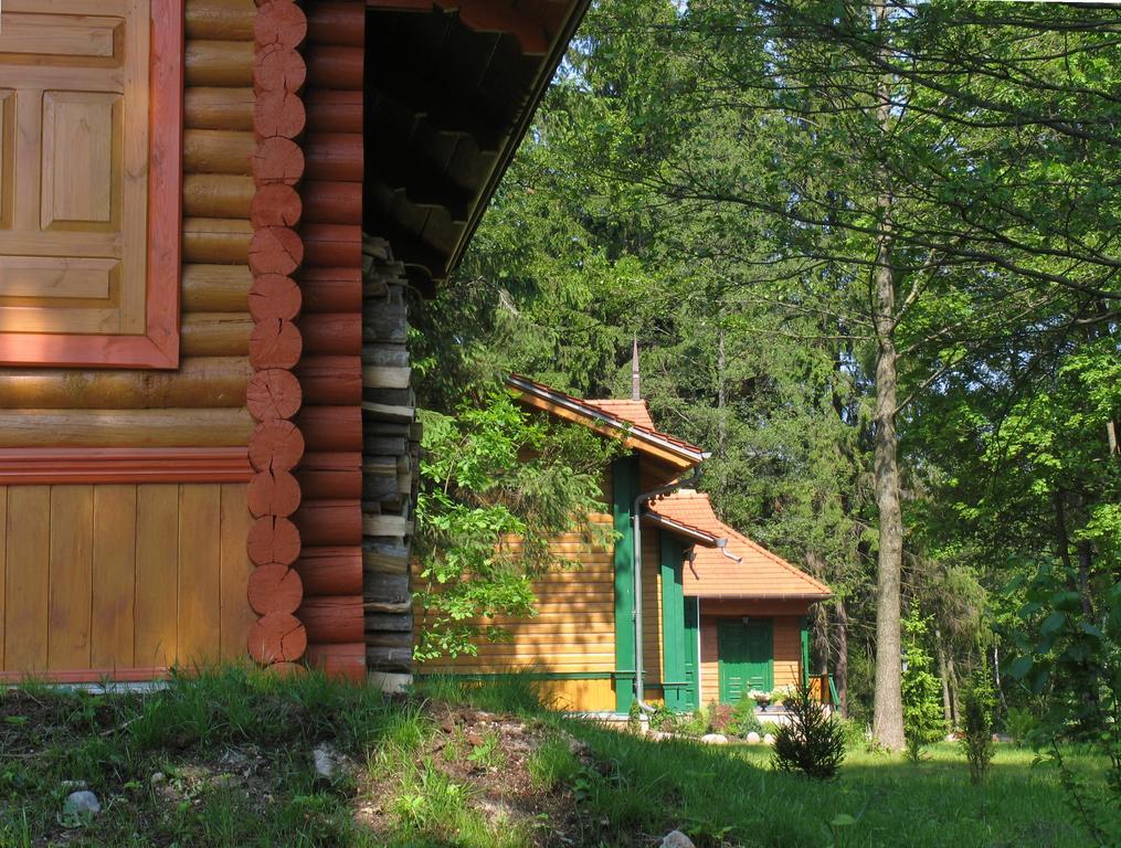 Apartamenty Carskie Białowieża Exteriér fotografie