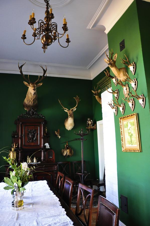 Apartamenty Carskie Białowieża Exteriér fotografie